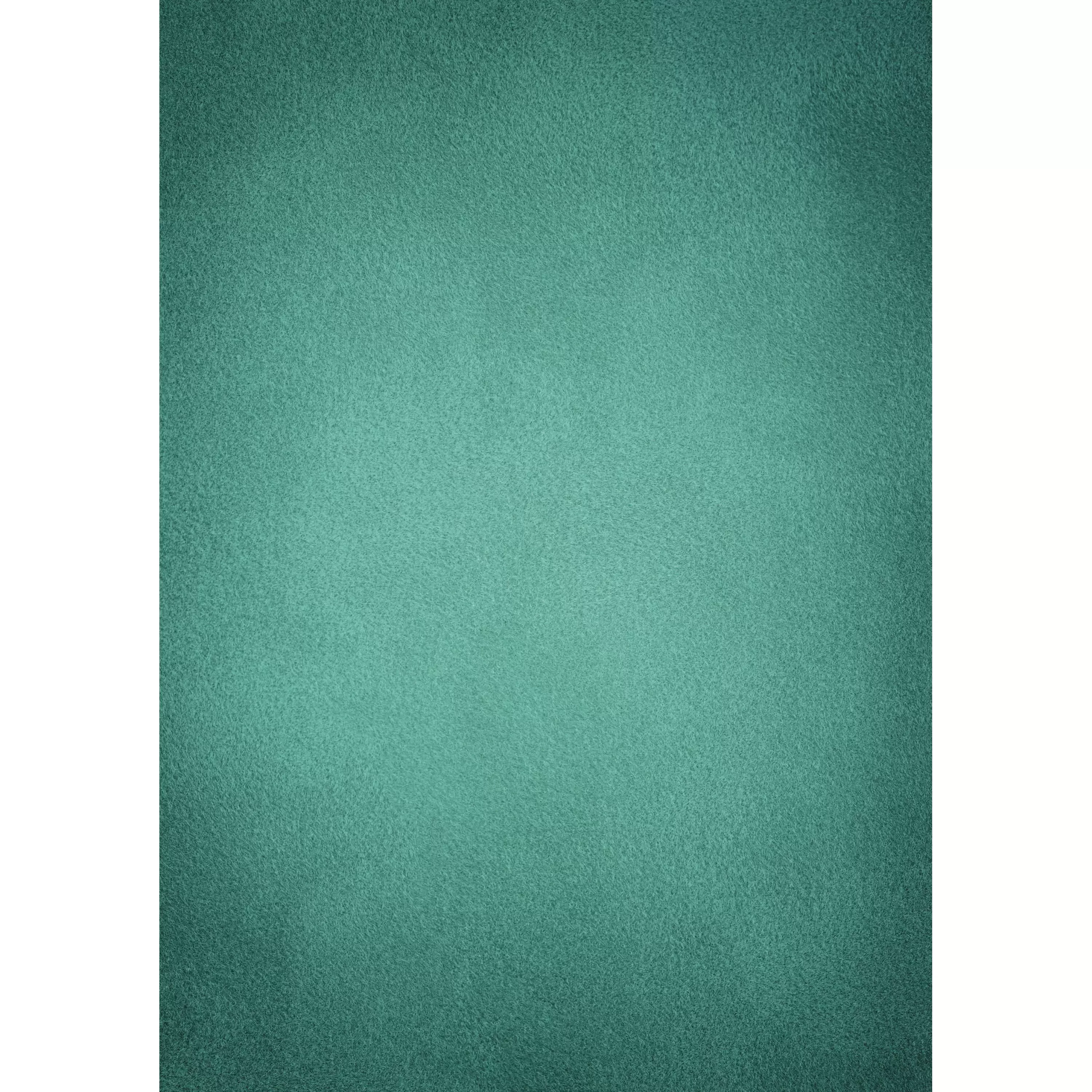 Fashion Bresser Hintergrundstoff mit Fotomotiv 80 x 120 cm - Türkis