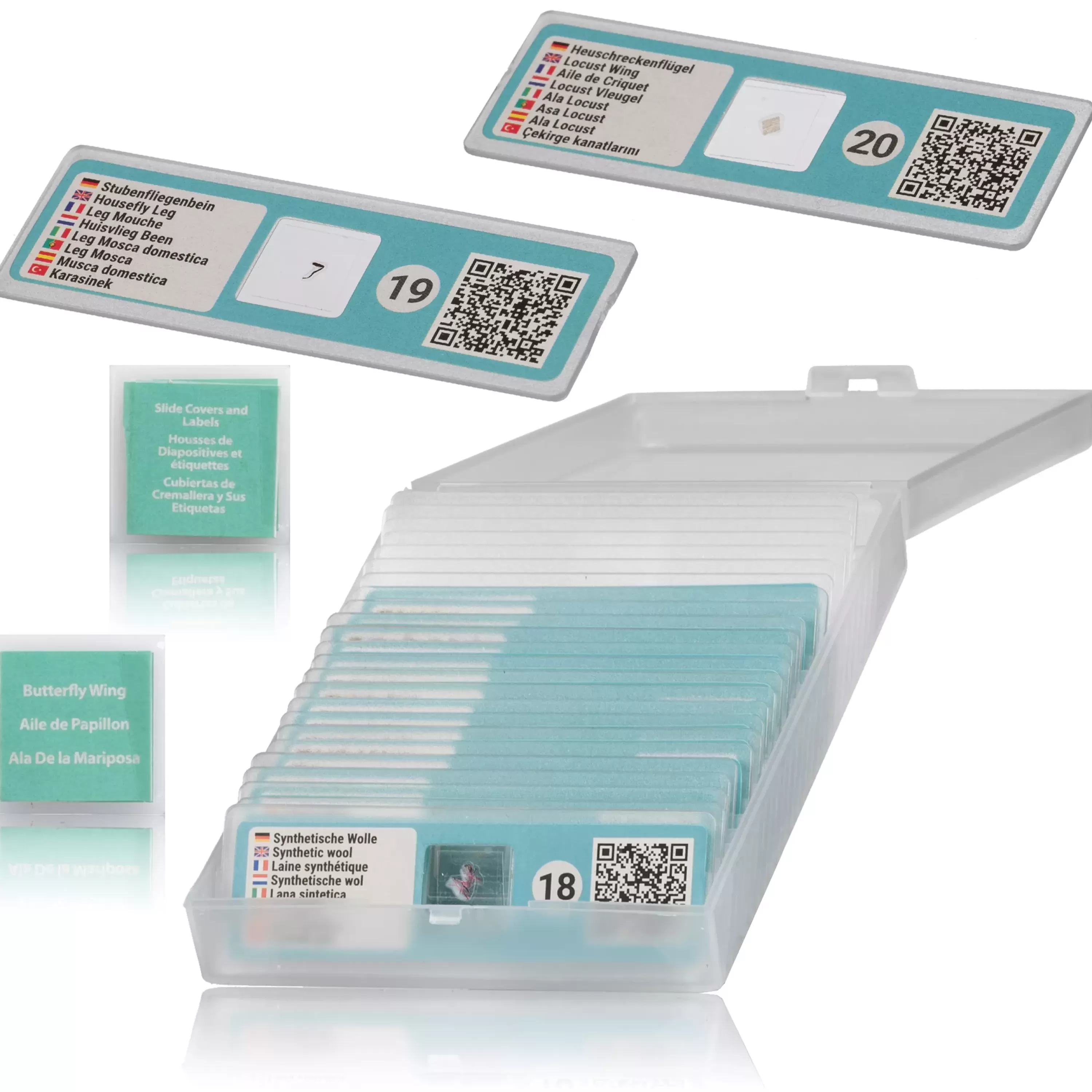 Shop Bresser JUNIOR 40-640x Mikroskop mit smartem Experimentier-Set mit QR-Code für Zusatzinfos