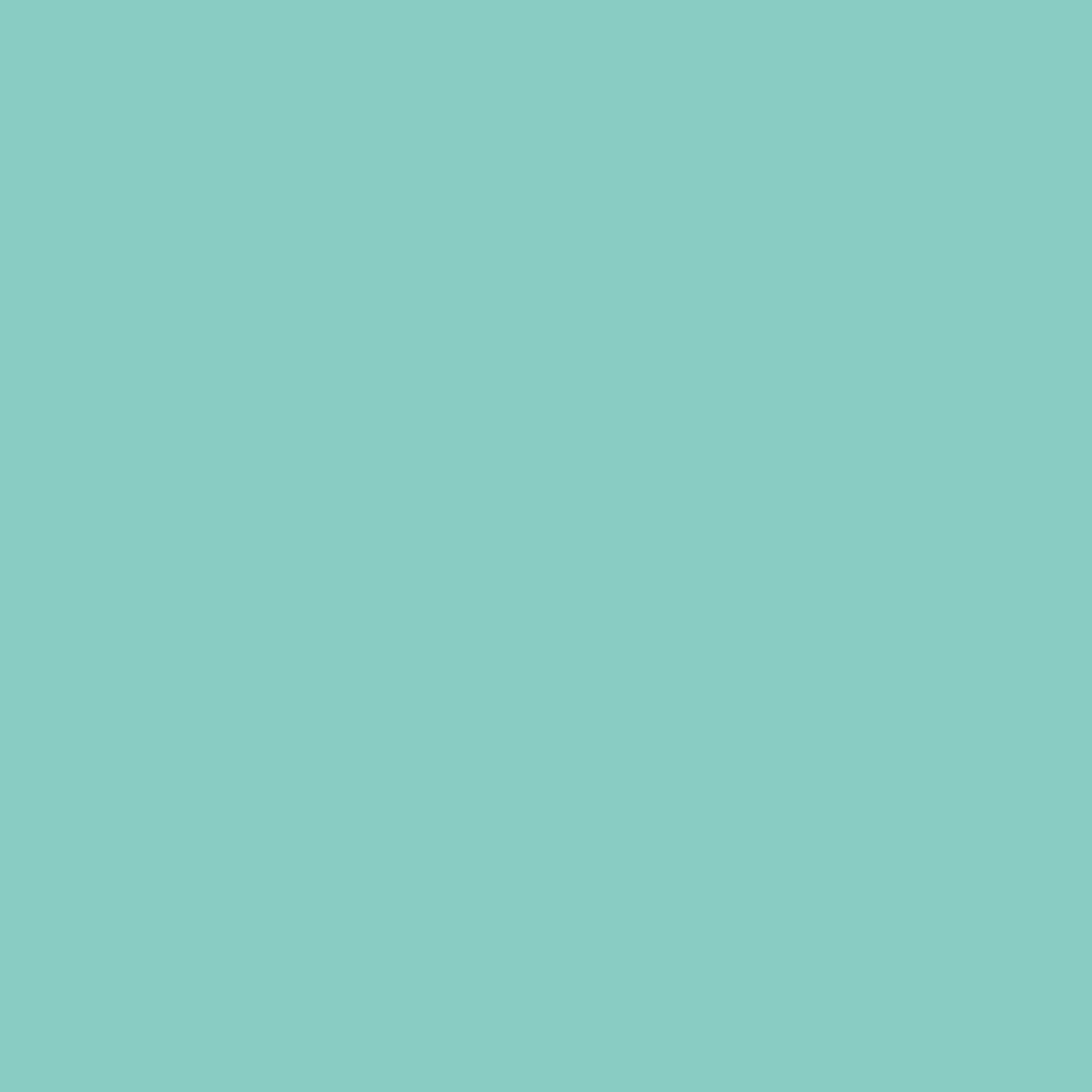 Store Bresser SBP18 Papierhintergrundrolle 2,72 x 11m Blau