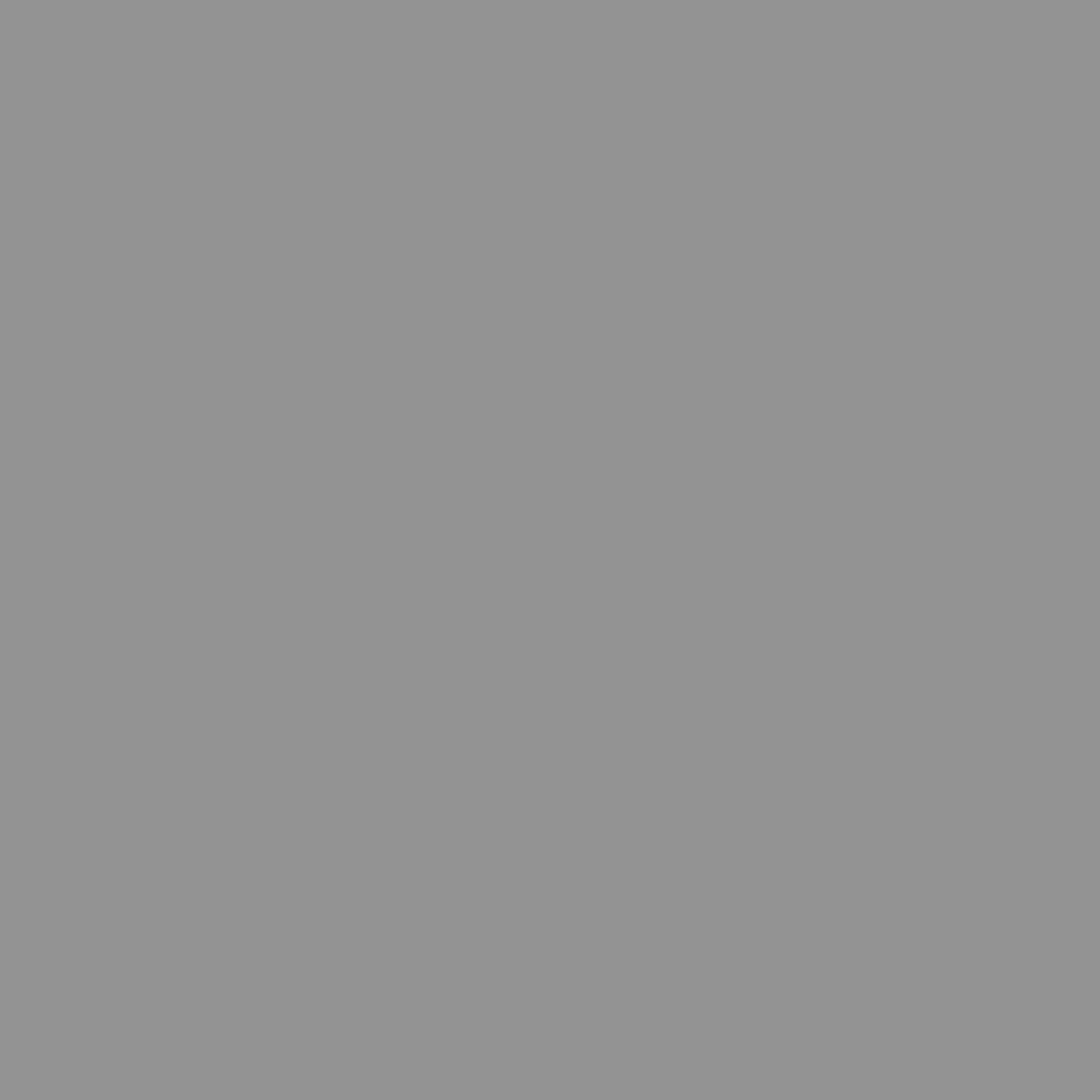 Outlet Bresser SBP17 Papierhintergrundrolle 2,72 x 11m Grau