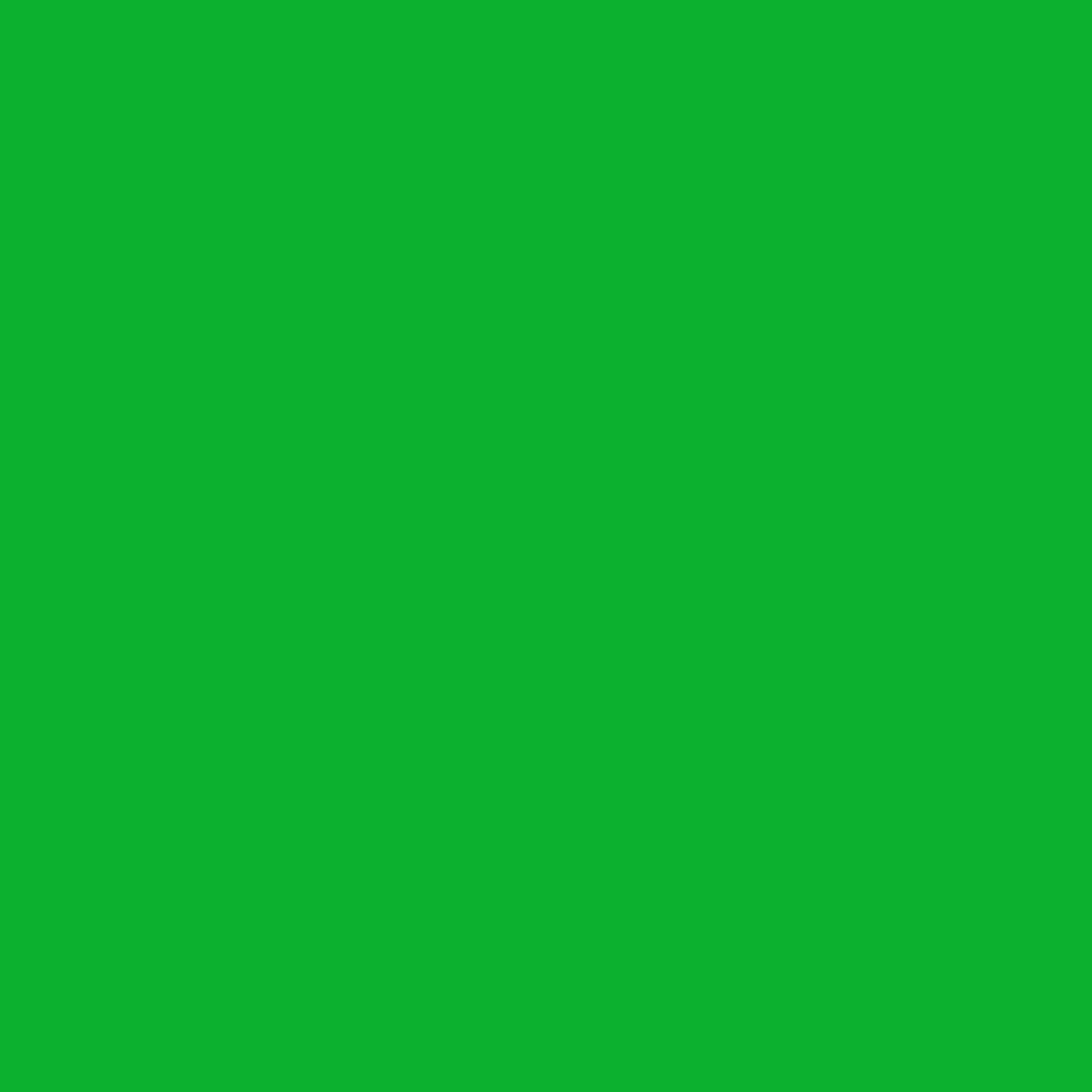 Cheap Bresser SBP10 Papierhintergrundrolle 1,69 x 11m Greenscreen/ Chromakey Grün