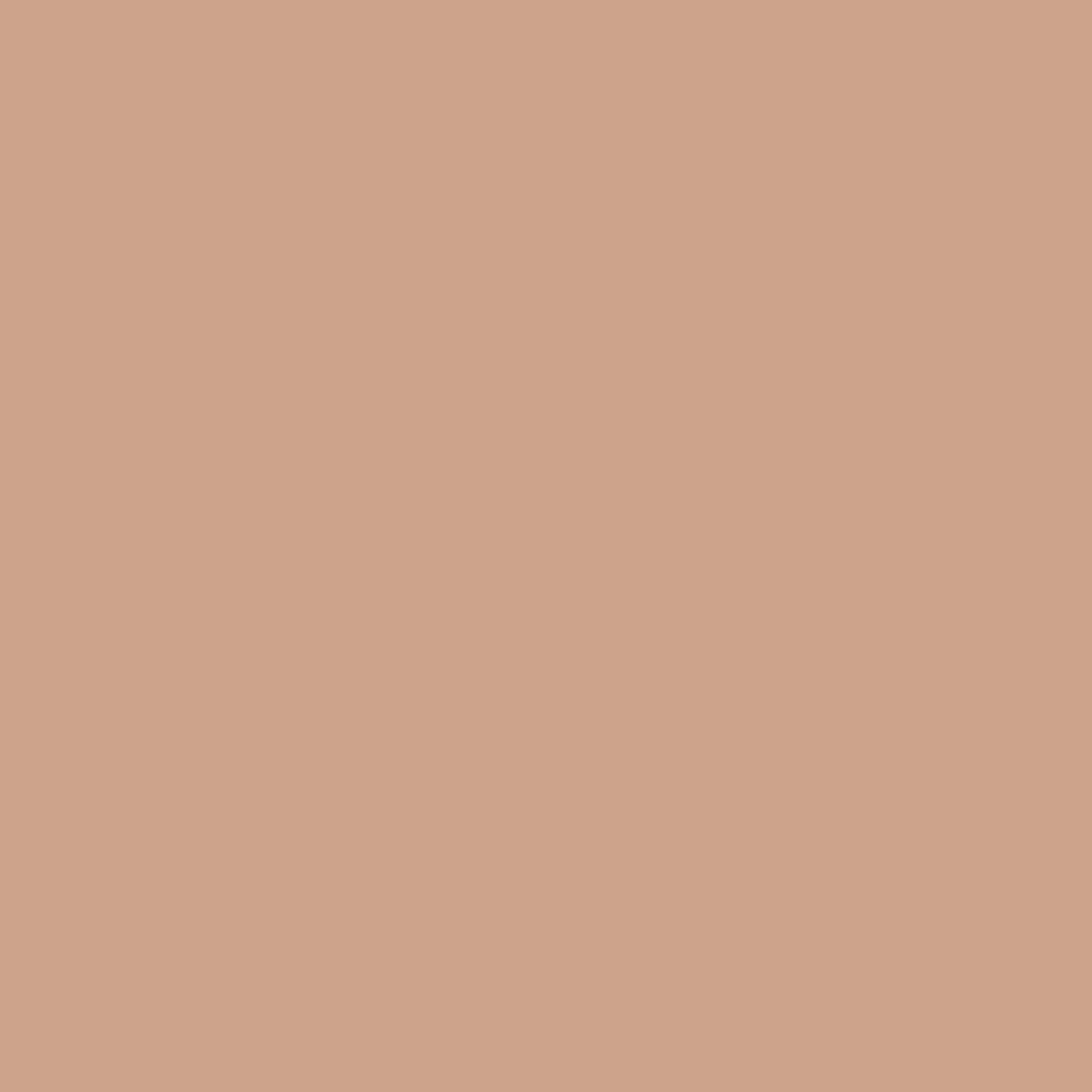Online Bresser SBP29 Papierhintergrundrolle 1,36 x 11m Helles Beige