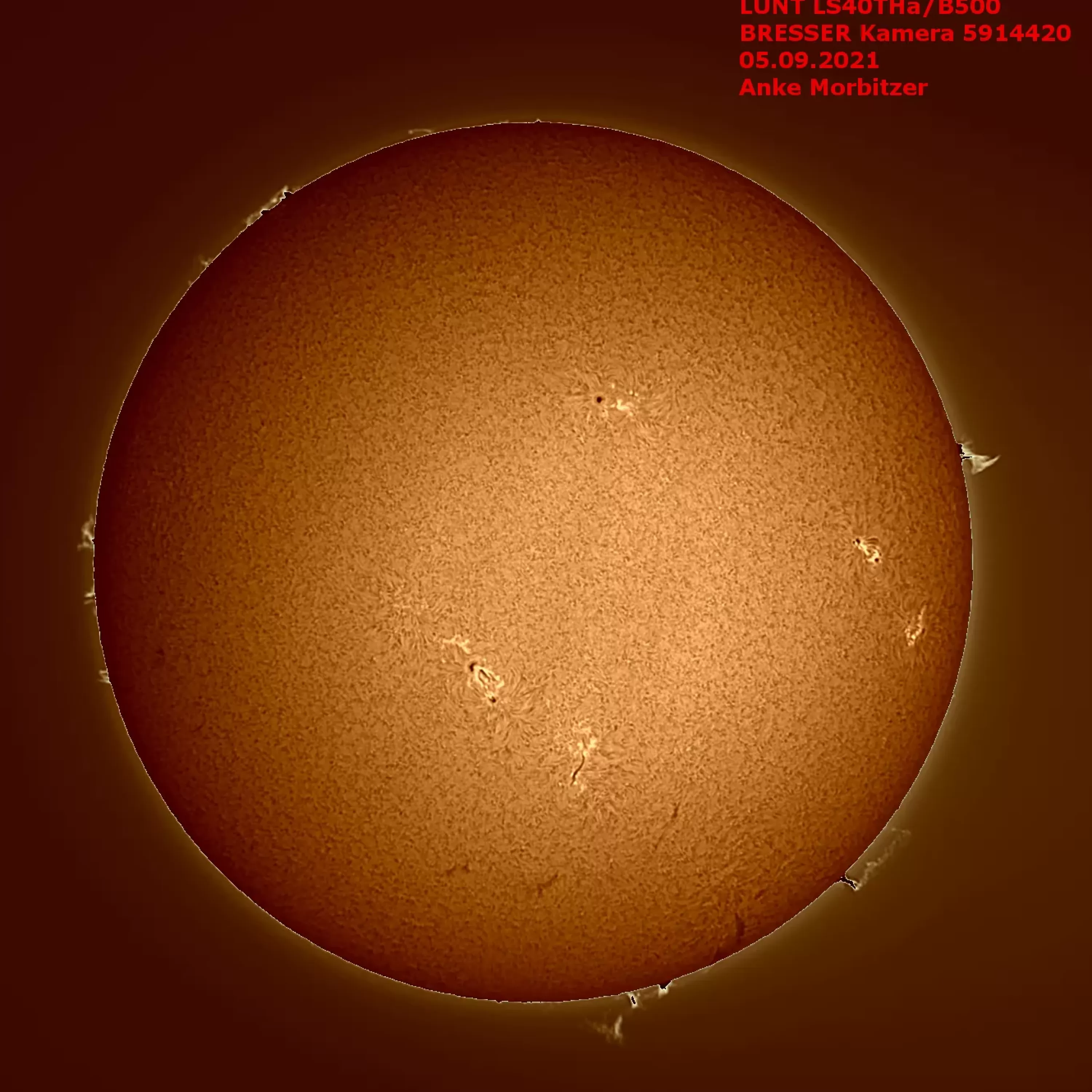 Cheap Bresser LUNT LS40THa/B600 H-Alpha Sonnenteleskop